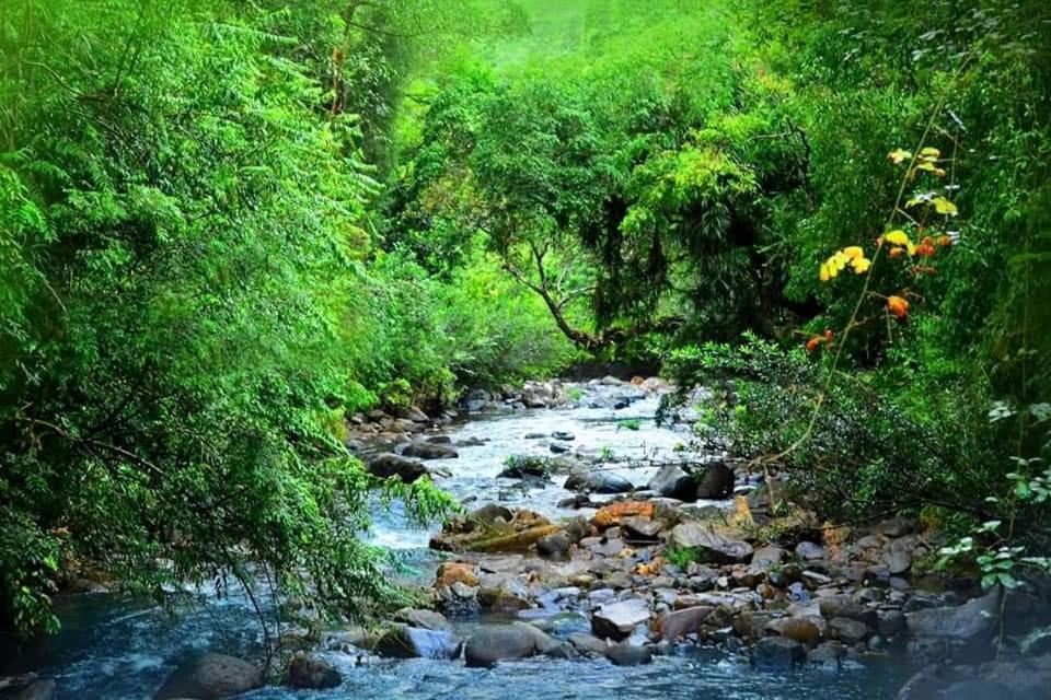 Sinharaja Forest Gate เดนิยายา ภายนอก รูปภาพ