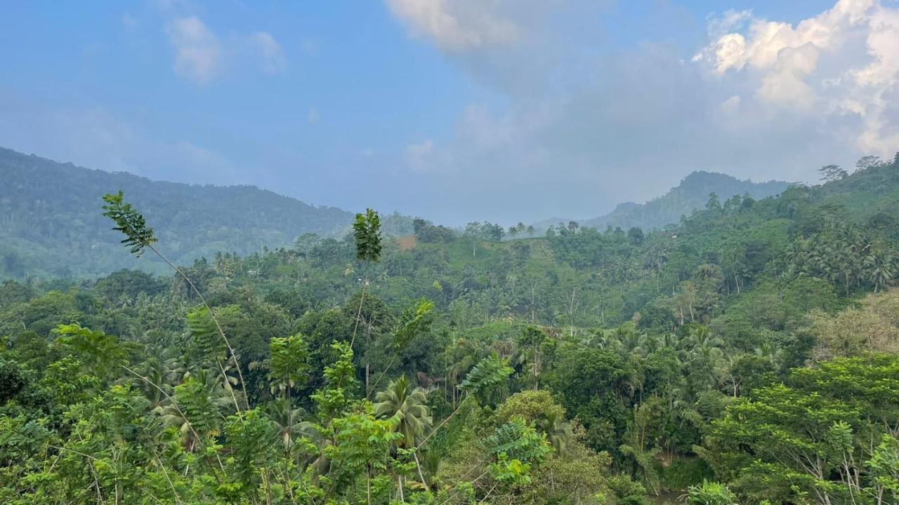 Sinharaja Forest Gate เดนิยายา ภายนอก รูปภาพ