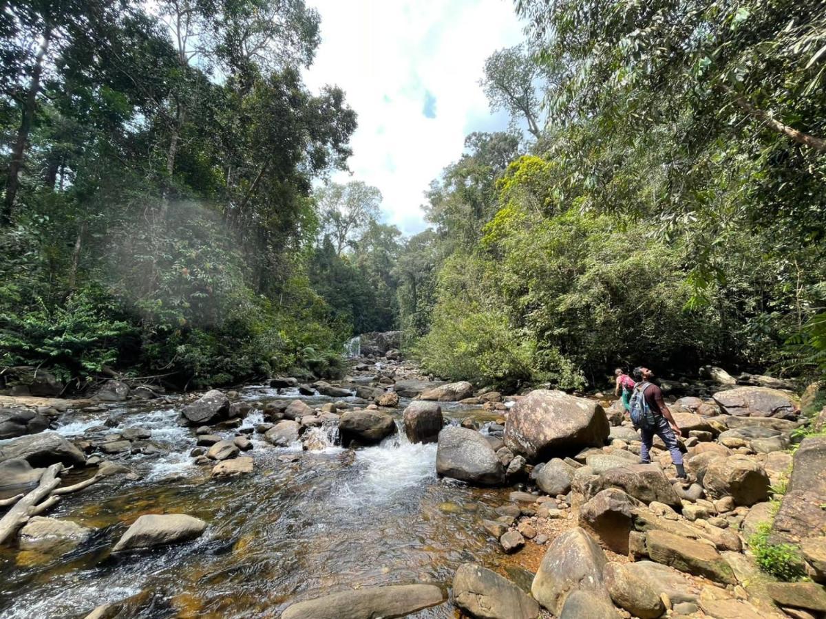 Sinharaja Forest Gate เดนิยายา ภายนอก รูปภาพ