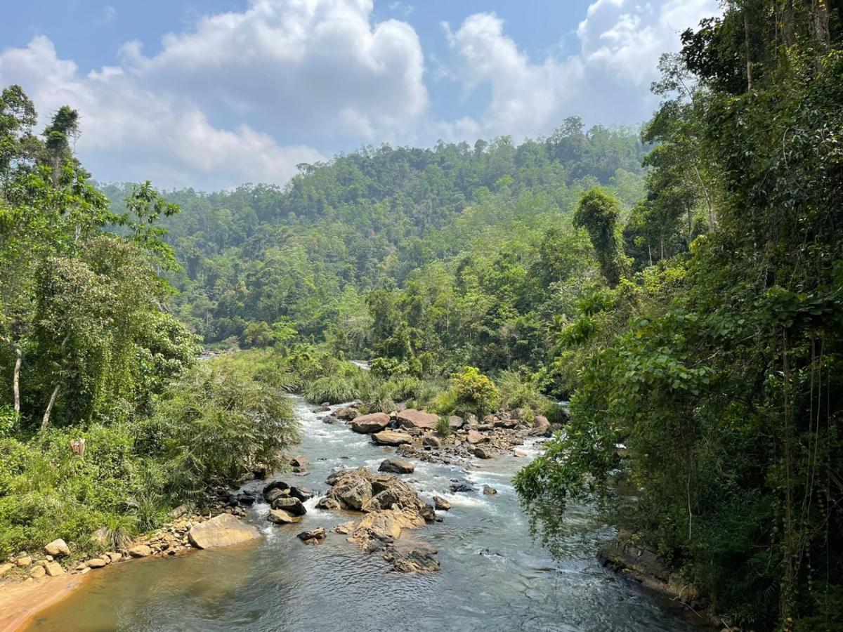 Sinharaja Forest Gate เดนิยายา ภายนอก รูปภาพ