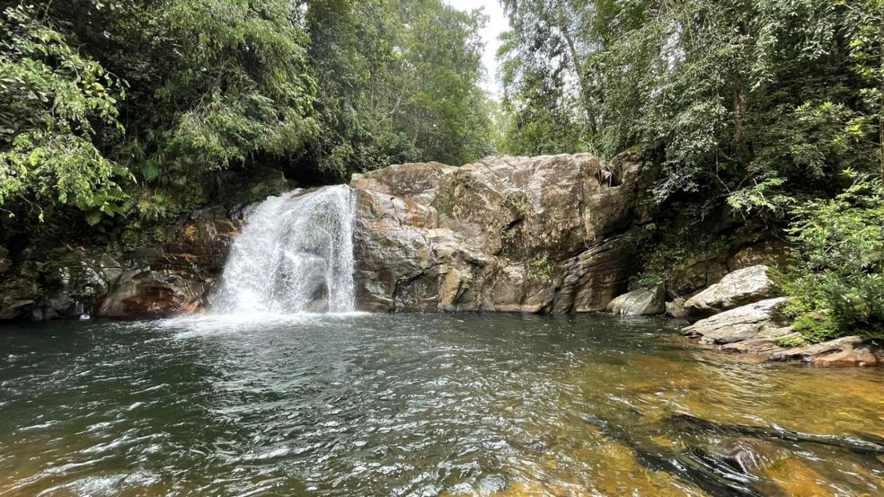 Sinharaja Forest Gate เดนิยายา ภายนอก รูปภาพ