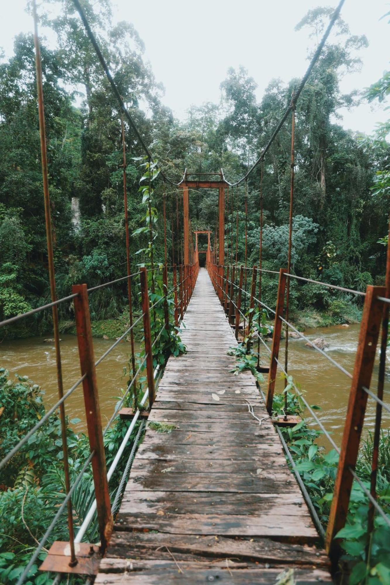 Sinharaja Forest Gate เดนิยายา ภายนอก รูปภาพ